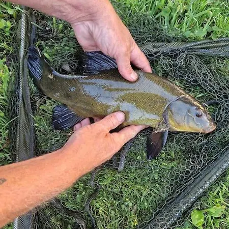 La Maison Au Bord De L'eau Liancourt-Saint-Pierre